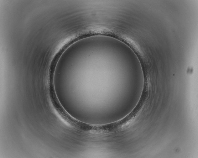 X0000091910630200709051419