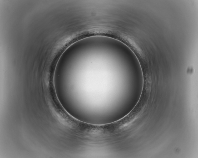 X0000091910631200709051419