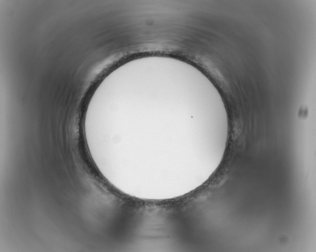 X0000091910632200709051419