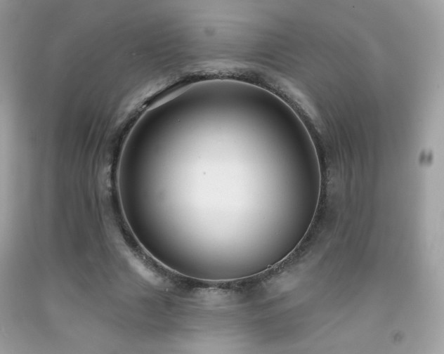 X0000091910633200709051419