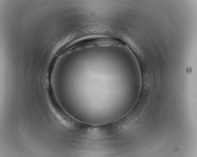 X0000091910634200709051419