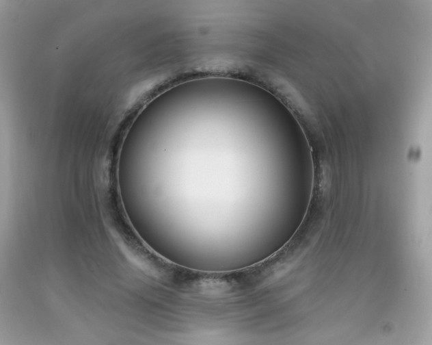X0000091910636200709051419