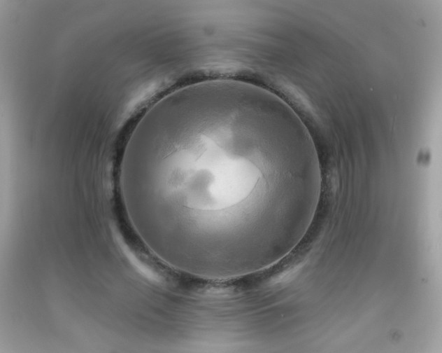 X0000091910638200709051419