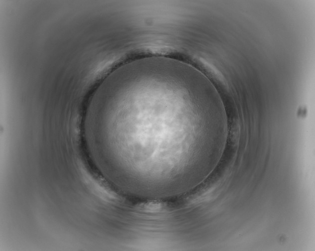 X0000091910639200709051419