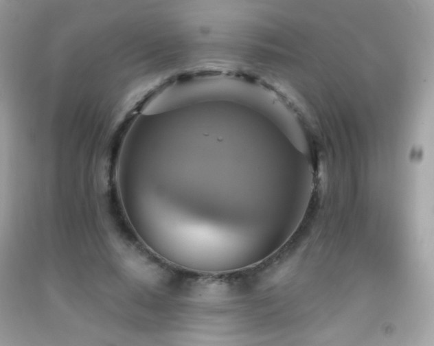 X0000091910640200709051419