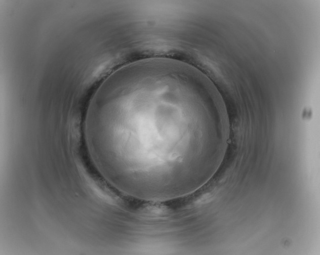 X0000091910642200709051419