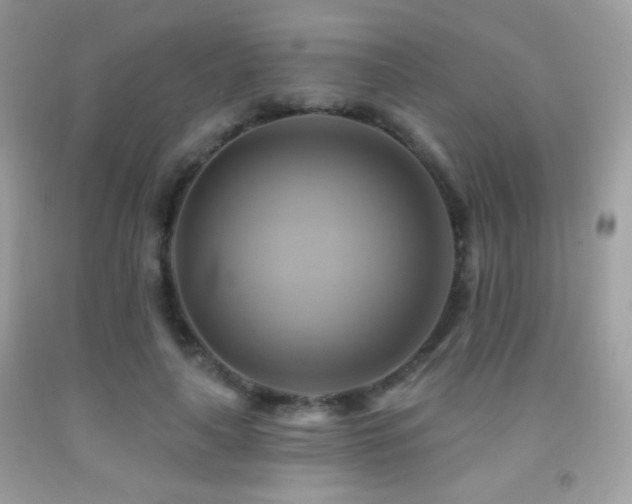 X0000091910643200709051419