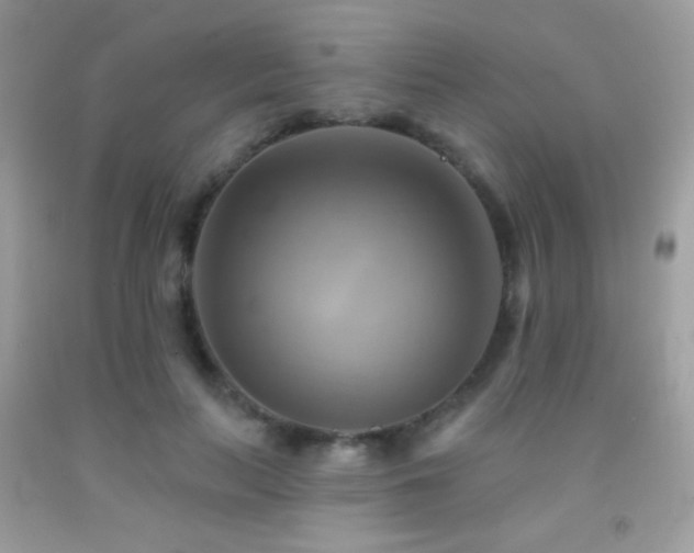 X0000091910647200709051419