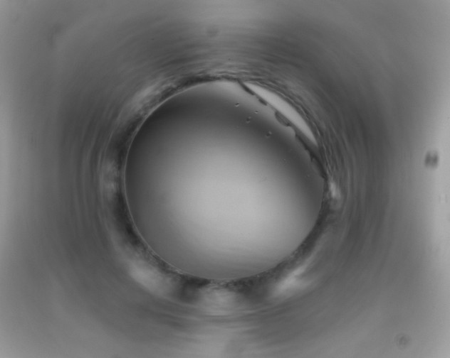X0000091910648200709051419