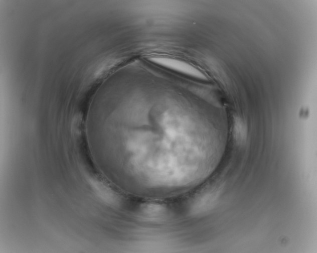 X0000091910649200709051419
