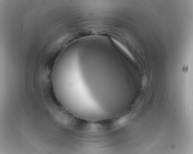 X0000091910650200709051419