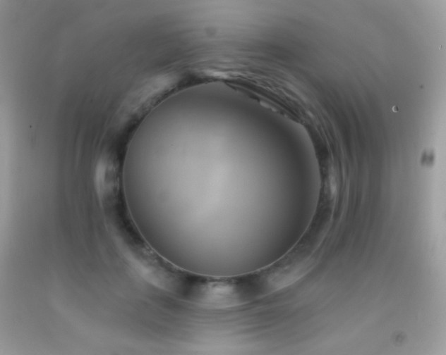 X0000091910651200709051419