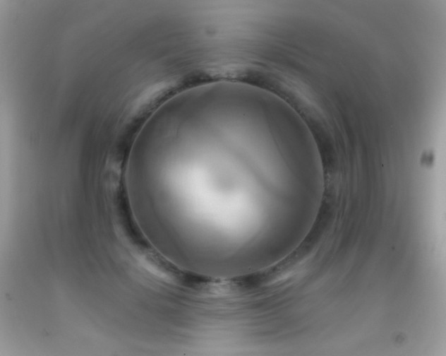X0000091910652200709051419