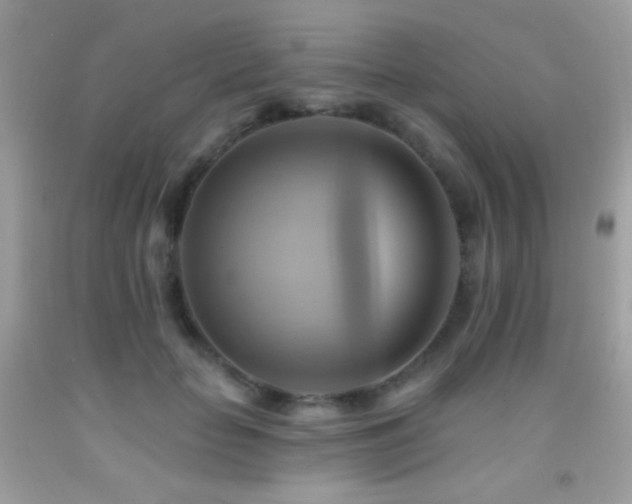 X0000091910653200709051419