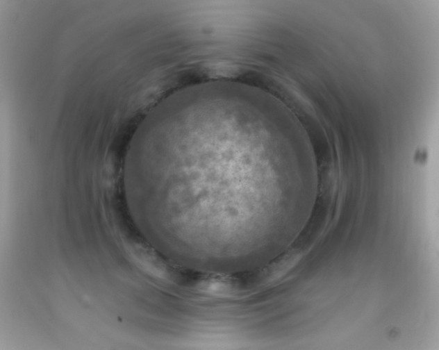 X0000091910655200709051419