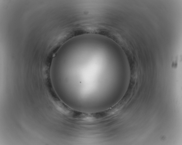 X0000091910658200709051419