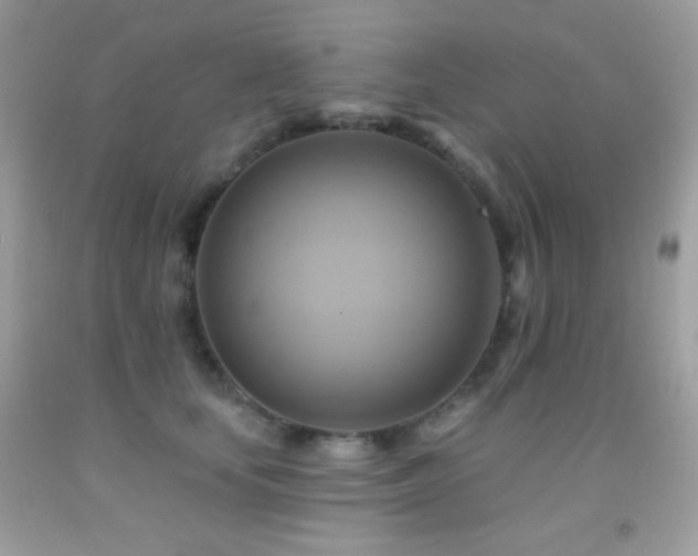 X0000091910659200709051419