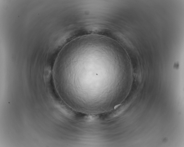 X0000091910660200709051419