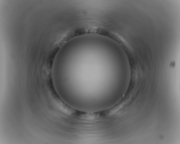 X0000091910661200709051419