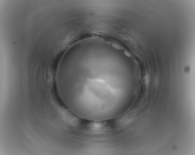 X0000091910662200709051419