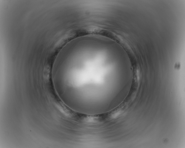 X0000091910664200709051419