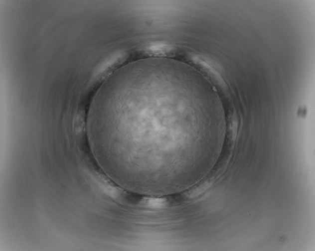 X0000091910665200709051419
