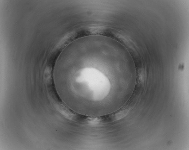 X0000091910667200709051419