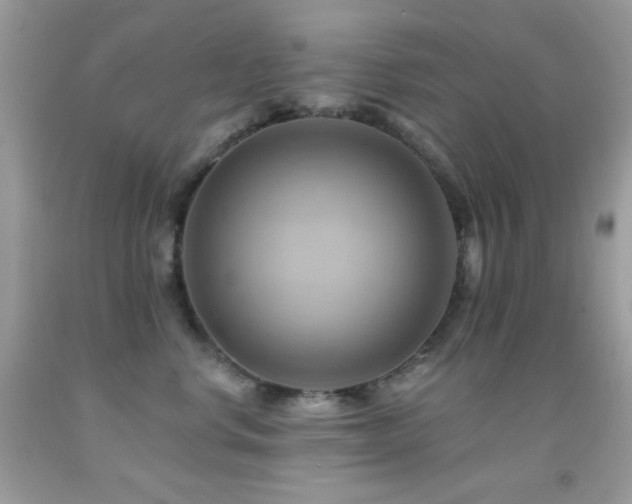 X0000091910668200709051420