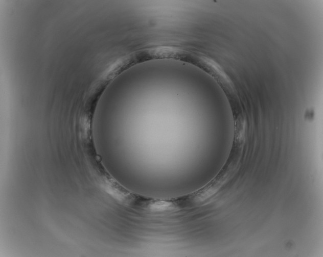 X0000091910669200709051420