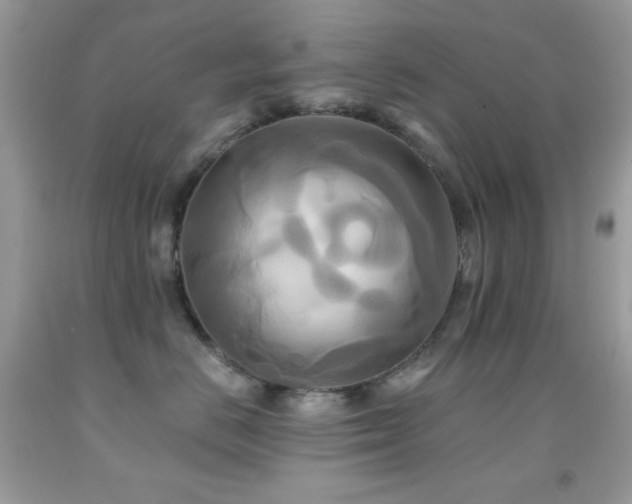X0000091910670200709051420
