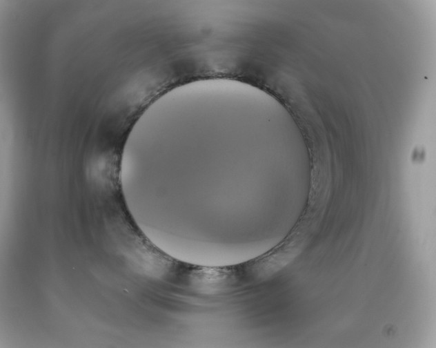 X0000091910672200709051420