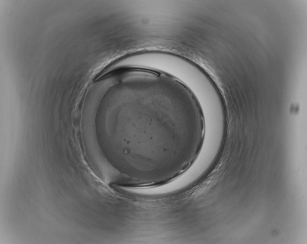X0000091910673200709051419