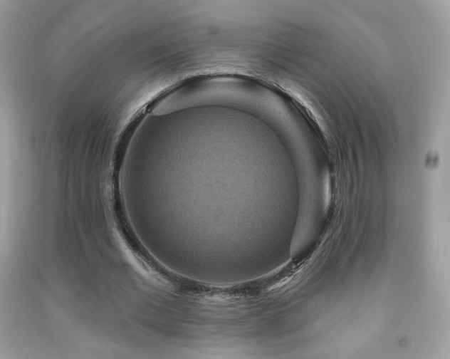 X0000091910677200709051419