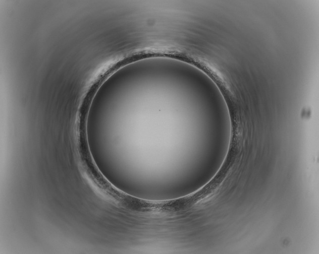 X0000091910678200709051419