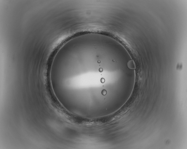 X0000091910679200709051419