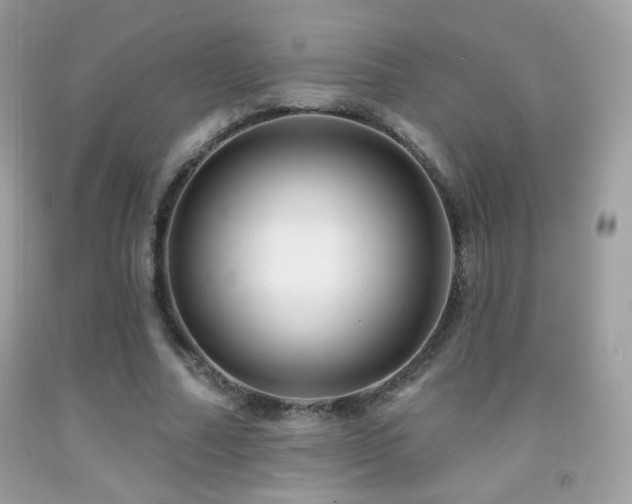 X0000091910682200709051419