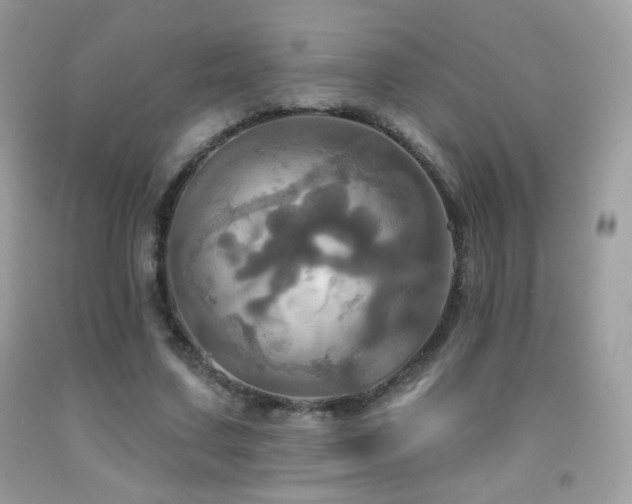 X0000091910683200709051419