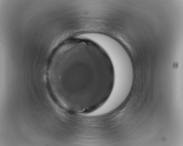 X0000091910685200709051419
