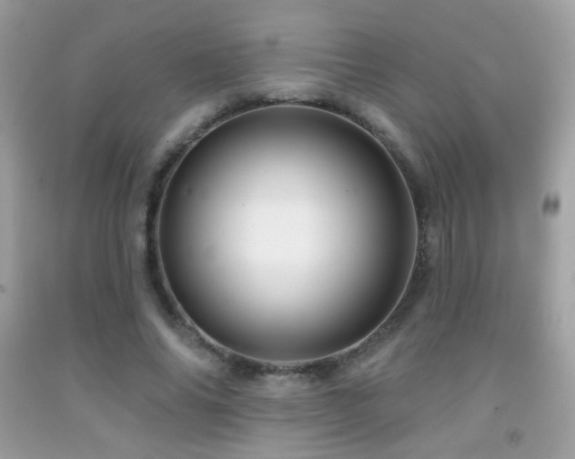 X0000091910686200709051419