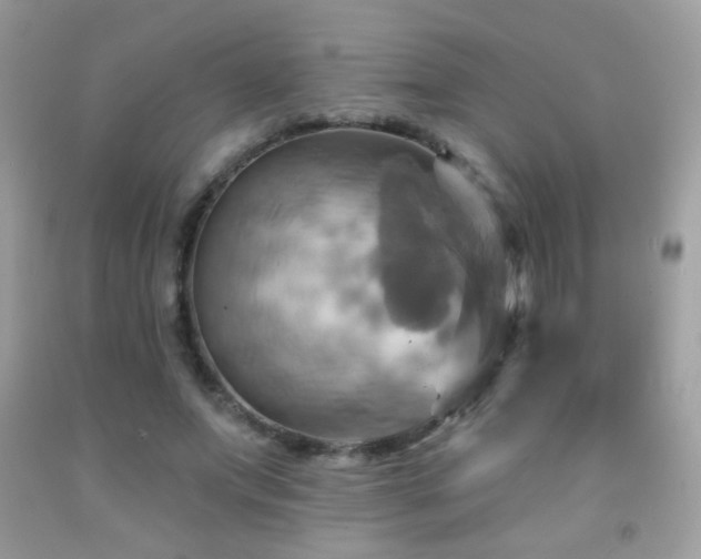 X0000091910687200709051419