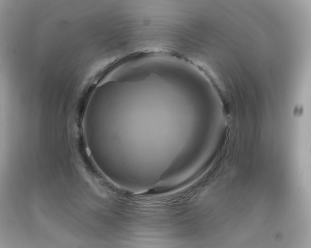 X0000091910688200709051419