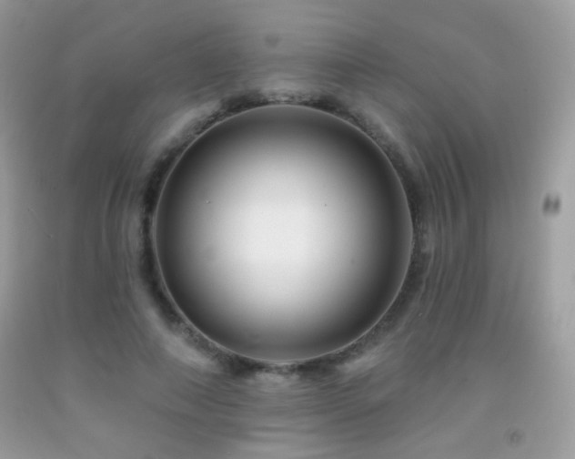 X0000091910690200709051419