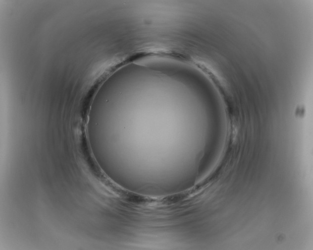 X0000091910692200709051419