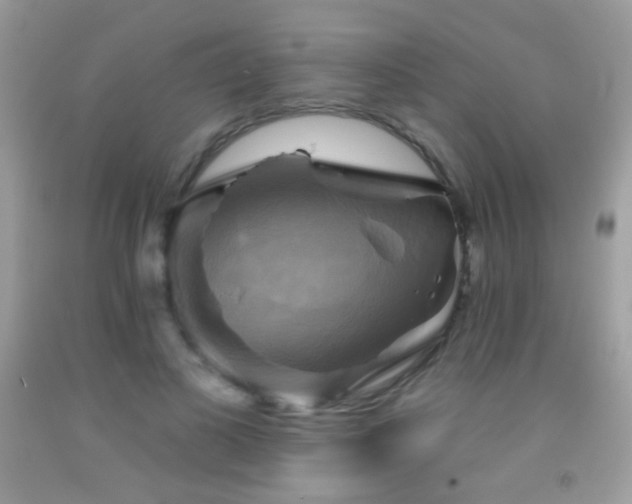 X0000091910693200709051419
