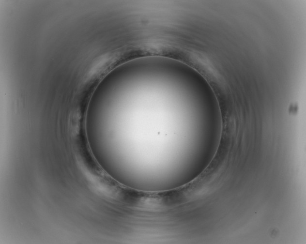 X0000091910694200709051419
