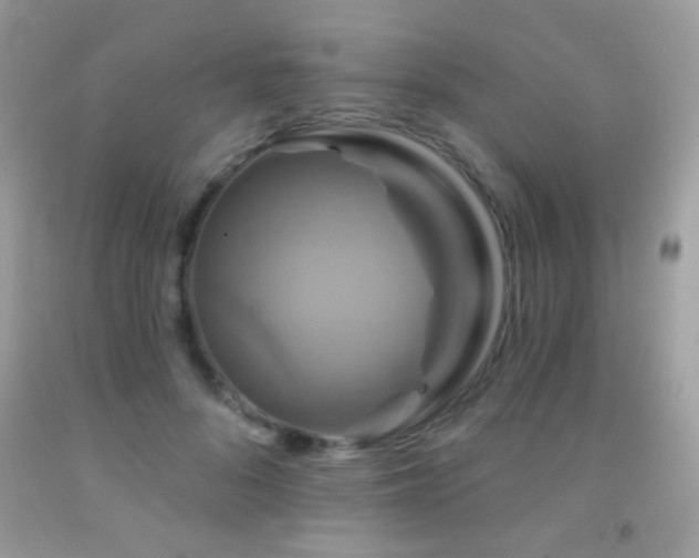 X0000091910696200709051418