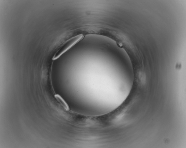 X0000091910697200709051418