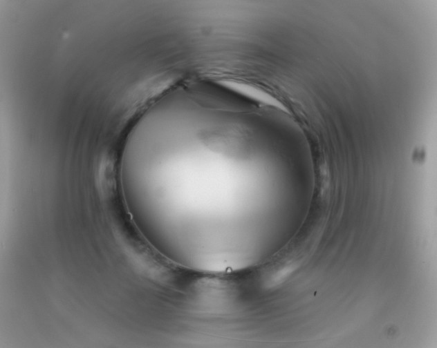 X0000091910699200709051418