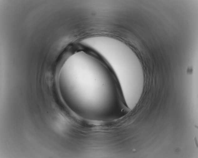 X0000091910700200709051418