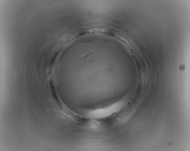 X0000091910701200709051418